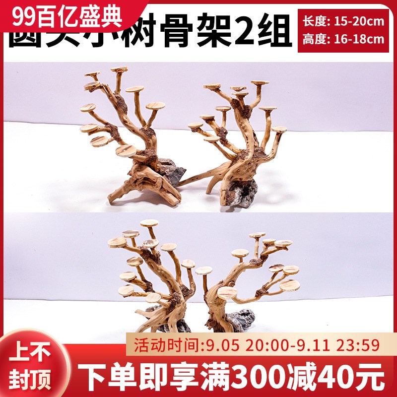 鱼缸造景沉木树圆头莫斯树椰壳片水草树迎客松骨架成品草缸树桩根