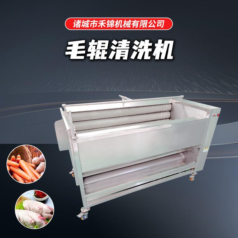 净菜加工设备毛辊清洗机毛刷式土豆红薯去泥清洗自动清洗