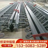 公路桥梁伸缩缝F80C40E型160型梳齿板伸缩缝模数式 公路支座毛勒缝