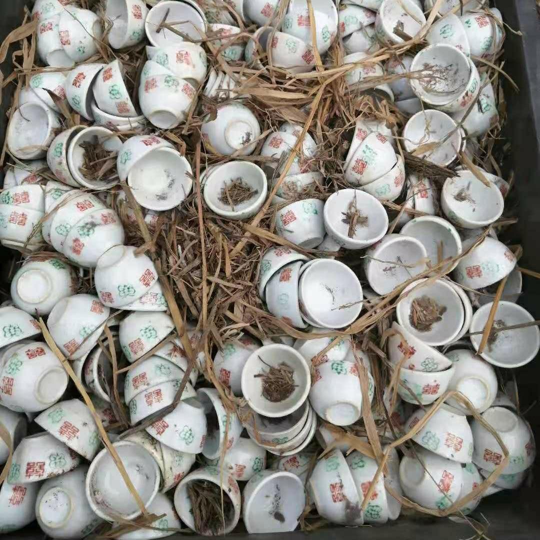 七八十年代钱红喜字瓷酒杯盅老货库存收藏影视道具库存经典怀旧