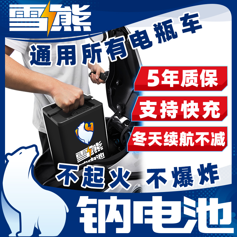 雪熊钠离子电池组平替锂电瓶s两轮三轮电动车48v60v72伏外送新国