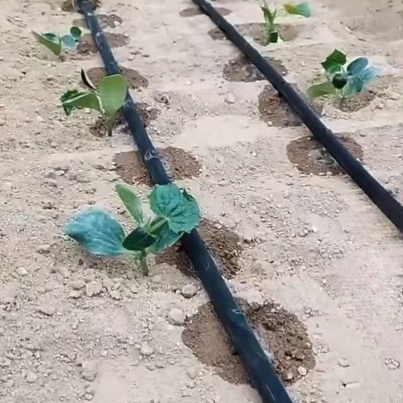新型滴灌带设备大全蔬菜西瓜增产贴片式防堵水带辣椒X农用贴条条