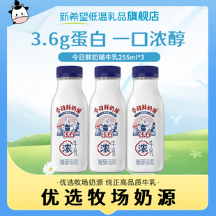 【U先试用】新希望今日鲜奶铺牛乳早餐奶低温奶瓶装奶牛奶255ml