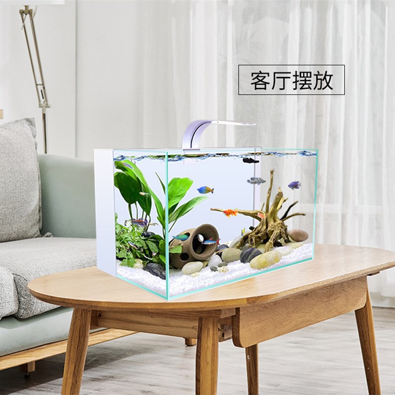 背滤海缸鱼缸客厅小型免换水超白玻璃桌面水族箱生态自循环家用缸