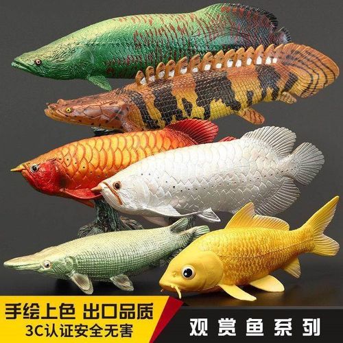 实心仿真动物模型玩具p观赏金龙鱼巨骨舌鱼锦鲤鳄雀鳝恐龙摆件套