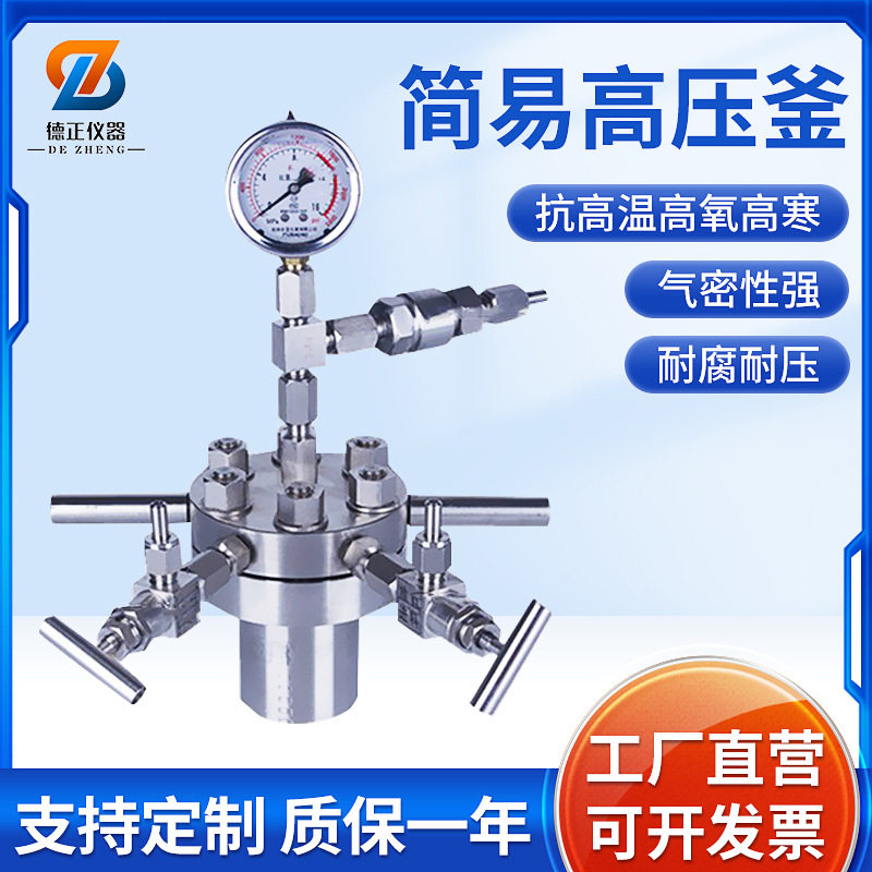 德正仪器小型简易不锈钢反应釜25ml-0.5L氢化高压反应釜磁力搅拌