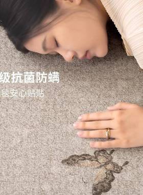 防地毯qr030101客厅新款卧室新污中式水防复古免洗全可擦沙发地垫