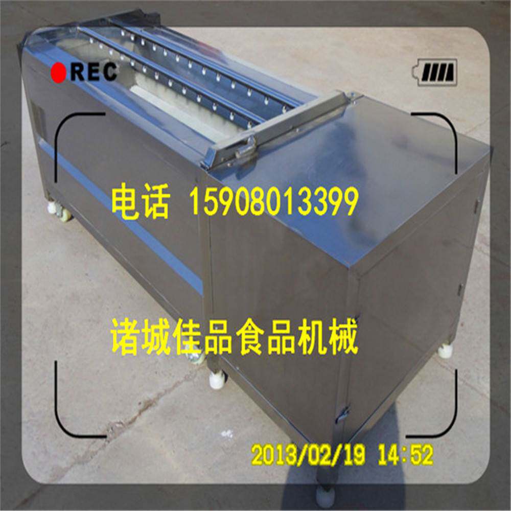 果蔬去皮清洗机价格 水果清洗机图片 蔬菜清洗机视频