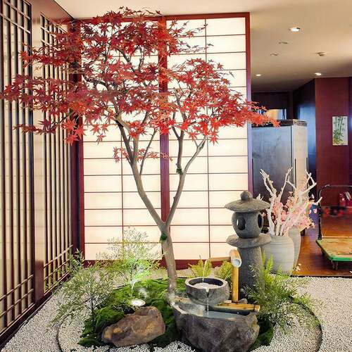 仿真红枫树日式枯山水造景大型鸡爪槭室内玄关橱窗景观装饰枫