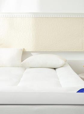 体2052新款A类立边床23246软垫