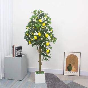 仿真柠檬树盆栽家居装饰绿植盆栽大型植物水果树客厅落地摆件