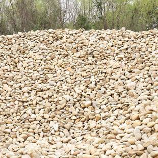 米黄料296色鹅石卵建筑工程铺路毛石头水池底人工河底变压垫器石