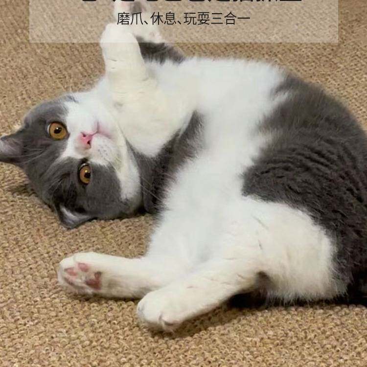 防猫抓仿剑麻地毯客厅2025新款圆形亚麻原木家用卧室全铺纯色地毯图片
