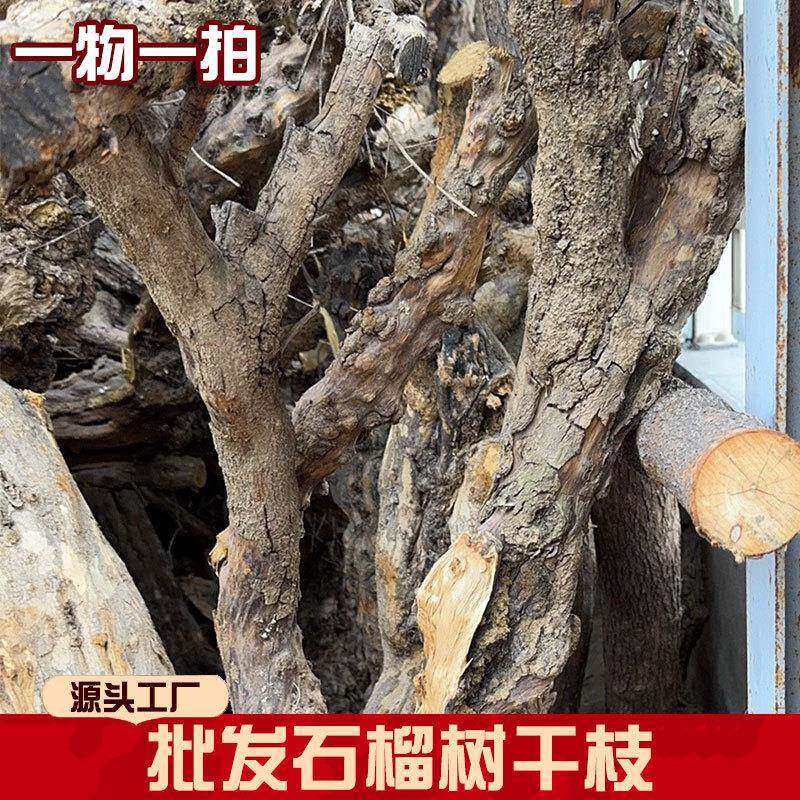 石树干装饰造型枯带皮榴石榴树树干服石榴树干装树装饰枯树干树枝