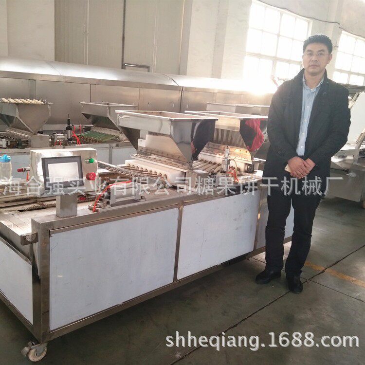 食品烘烤设备 蛋糕蛋黄派填充机 灌浆机注浆机 上海合强厂家供应