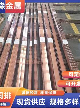 紫加铜排T2紫铜排工销高BLU导电率镀锡直铜排