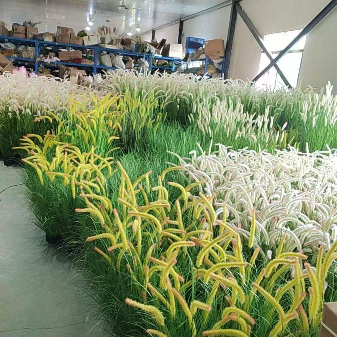 芦苇狗尾草蕾丝定制花韭尾花仿真公园艺办室客厅绿菜植装饰造景狗