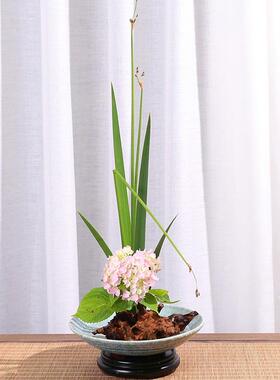 沉枯木造景插花摆件树根木雕杜古鹃木艺禅花意装饰复仿古木XZG摆