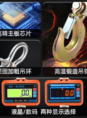 1T2吨T3T防水电子吊秤1无品牌/吨2吨吊3钩秤手提电子称吊行车磅