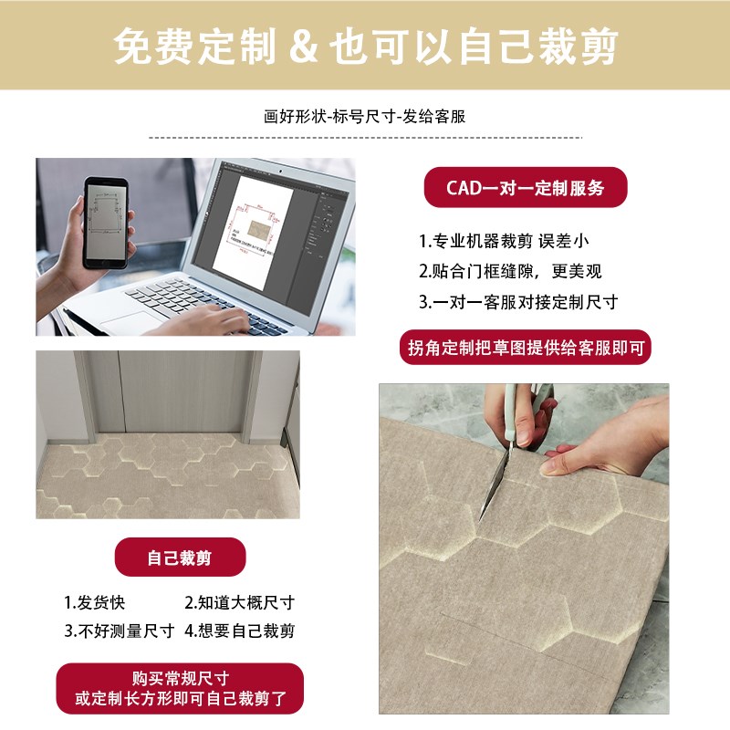 家用玄关进门地垫客厅入户门脚垫2024新款现代简约风地毯防滑垫子