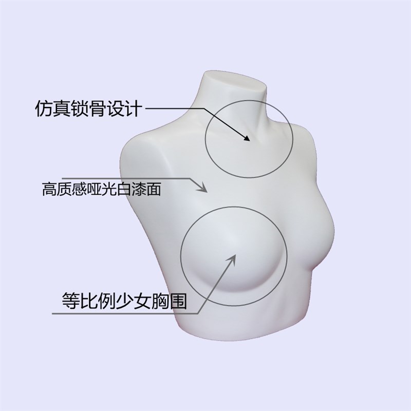 少女内衣展示模特道具 女孩半身哑白文胸玻璃钢假人体架 橱窗成列