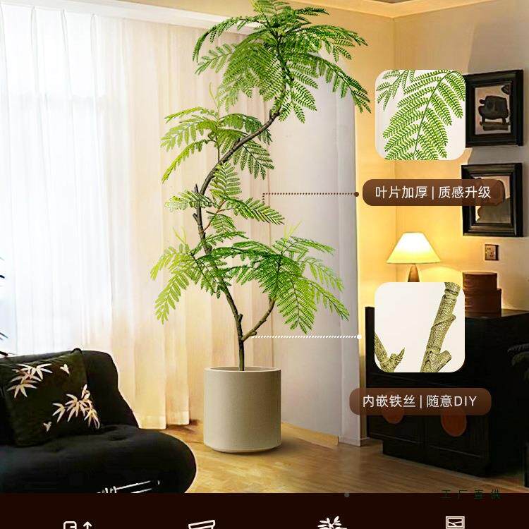 绿植装饰摆件落地大型客蓝厅入户玄花关电视柜栽旁边F98J9M5T室内