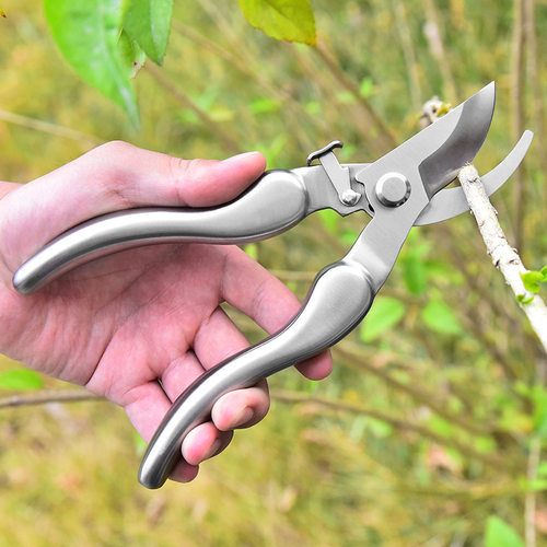 园艺剪刀304不锈钢修枝剪树枝剪刀果枝剪家用修花剪园林工具花剪