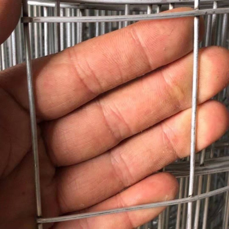 速发新品镀锌铁丝电焊网片小孔养殖围栏钢丝网养鸡狗笼兔笼加粗