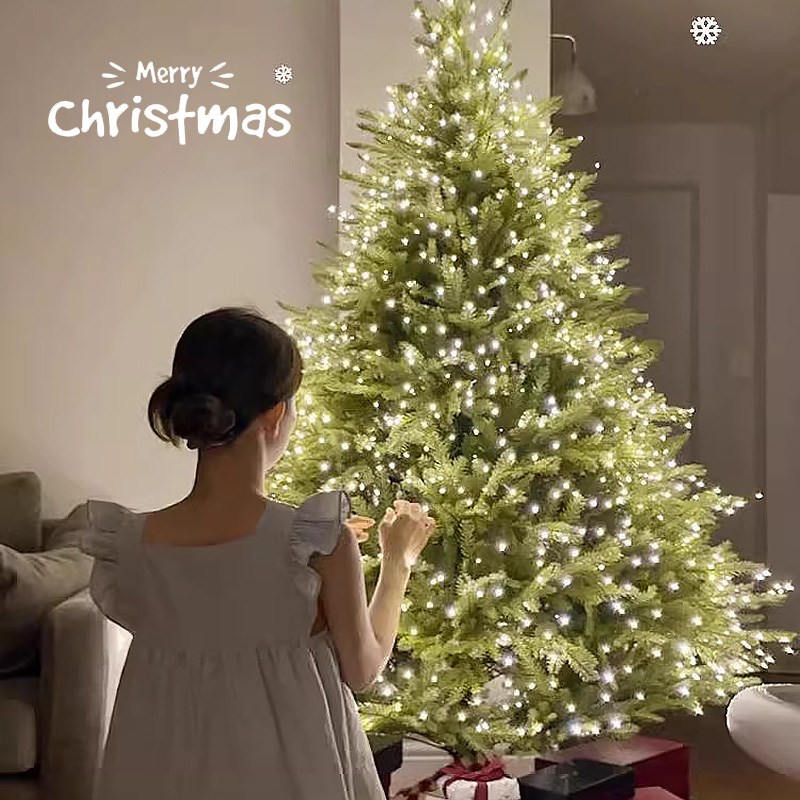 2024新款圣诞树发光纯pe家用大型装饰品摆件加密套餐场景氛围布置