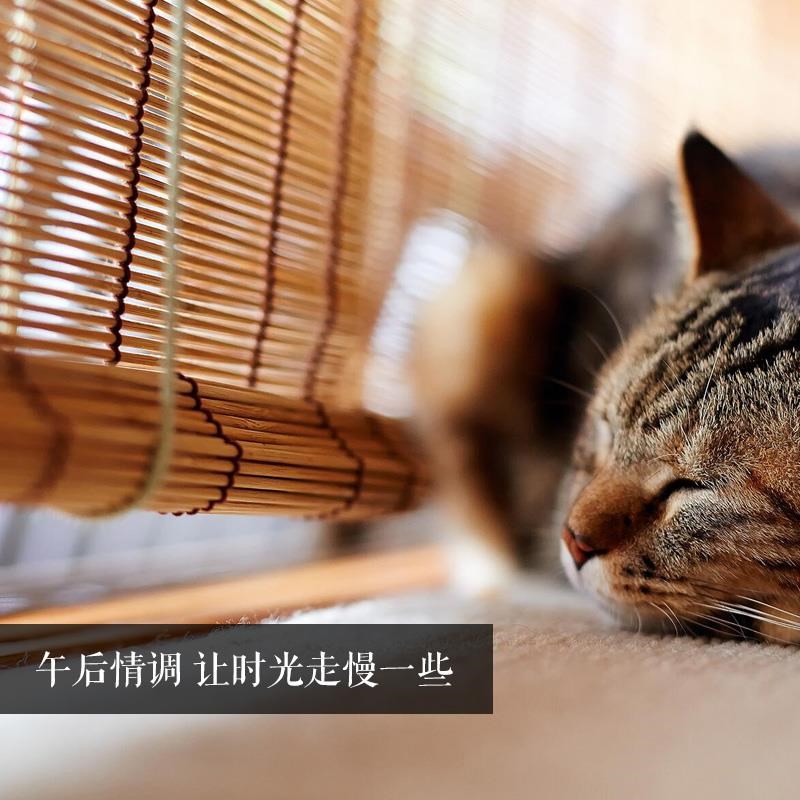 新品CR9包边竹帘窗帘卷帘 竹帘子门帘画隔断遮光遮阳装饰中式日式