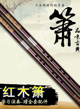 精制红木箫专f业演奏箫南箫红木洞箫八孔箫六孔箫乐器G调F调送配
