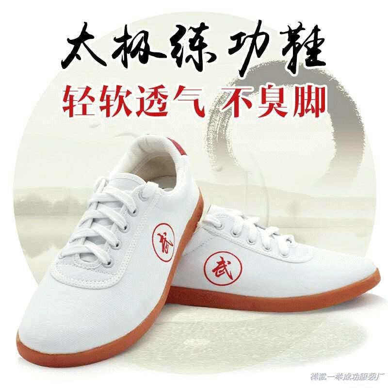 2024新款太极鞋练功鞋帆布牛筋武术帆布鞋夏季武术训练表演运动鞋
