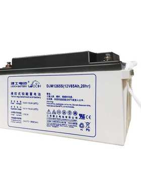 UPS免维护电瓶理士DJM1265S铅酸蓄电池65ah UPS电源厂家一件