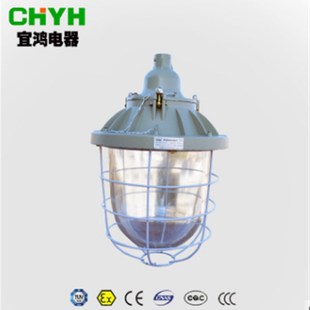 隔爆型防爆灯 250W防爆弯灯 厂房仓库防爆灯 250防爆灯罩 BAD51