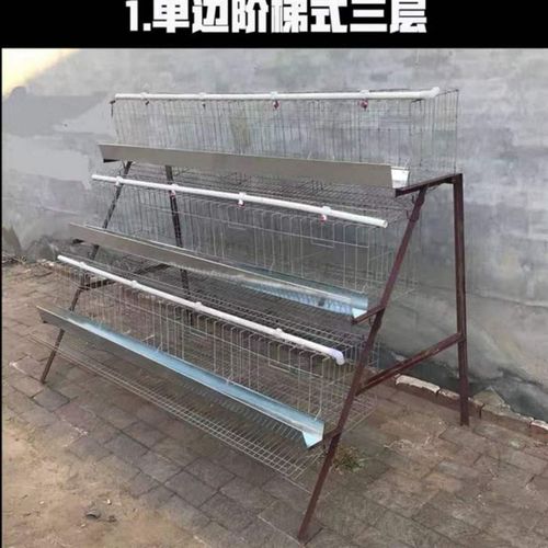 加粗蛋鸡养殖笼三层四层阶梯式鸡笼家用4位镀锌R鸡笼养殖场用鸡笼