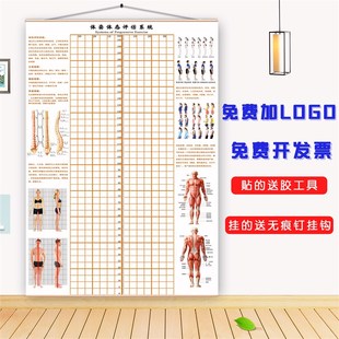 体态评估图健身房体测表瑜伽私教身体形体测评脊椎T修复墙壁画装