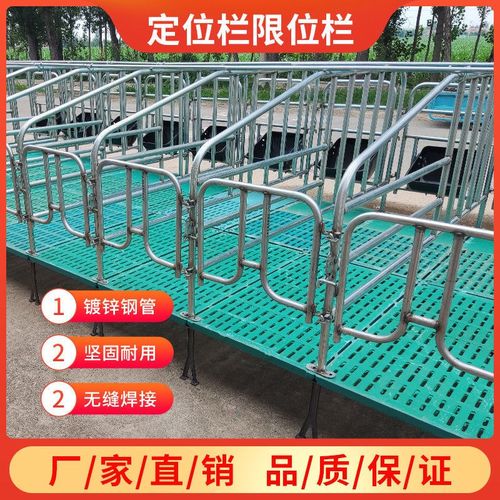 母猪地面猪用限位栏养猪场设备加厚地面围栏猪圈漏粪板设备
