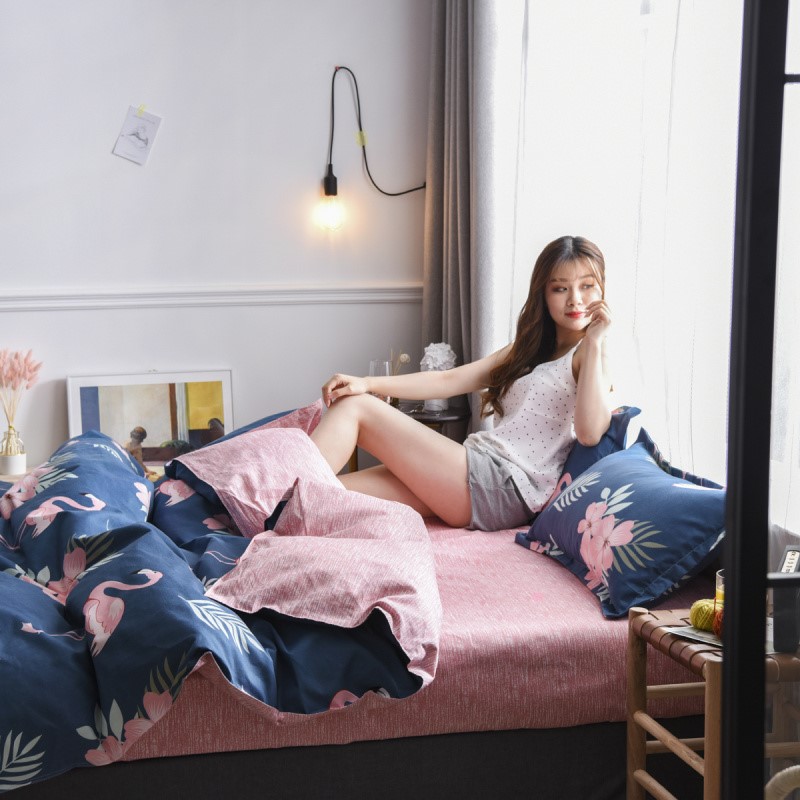 网红爆款亲肤棉磨毛四件套被罩床单人三件套1米8m5床上下铺43宿舍