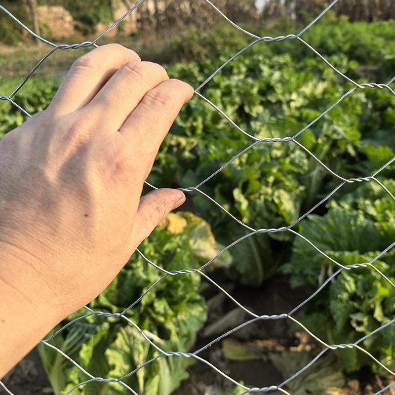 孔7X9厘米热镀锌六角拧花网菜园花园铁丝防护鸡笼小动物养殖围网
