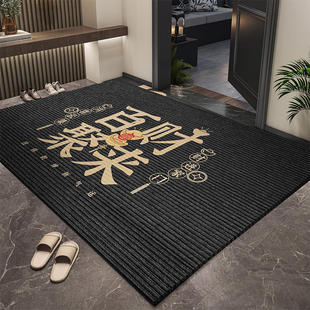 地垫入户b门垫进门门口门外脚垫地毯门厅高级入户门2024新款 脚踏