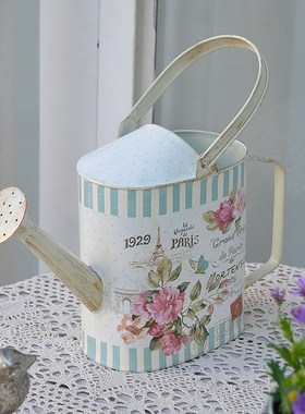 浇水壶法式田园铁艺小洒水壶浇花壶花店橱窗花园庭院杂货装饰摆件