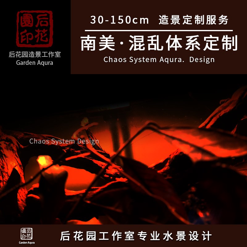 后花园水族南美混乱造景 南美景 原生缸 原生缸定制 鱼缸沉木造景