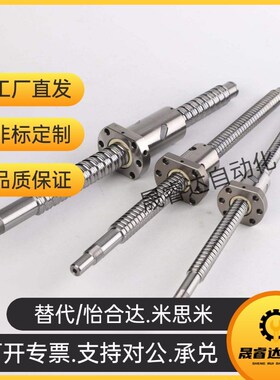 BSWE/BTWE/BTWP0802 1002 1204 1510 1520 2010 T2510 05滚珠丝杠