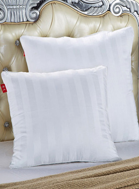 正方形靠背枕芯方枕芯抱枕芯45 45 50 50 60x60 65x65cm一对靠枕