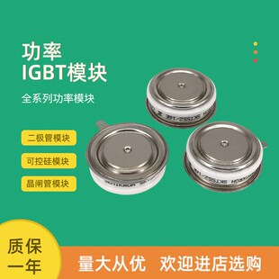 平板半导体控制整流器晶闸管T481S16sTOF T481S18TOF T481S20TOF