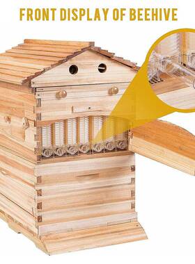自流蜜蜂YFG箱蜜蜂蜂箱全自全套蜜蜂别墅流蜜脾自蜜蜂箱蜜动蜂巢