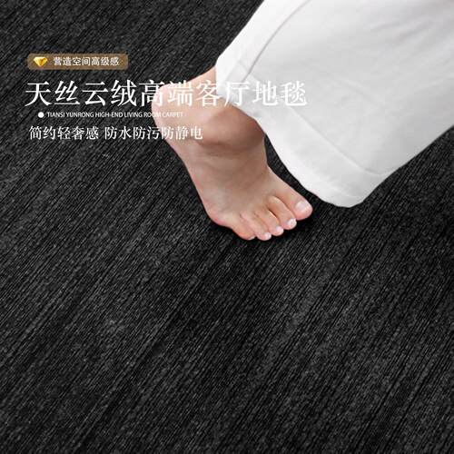 客厅地毯2026新款意式极