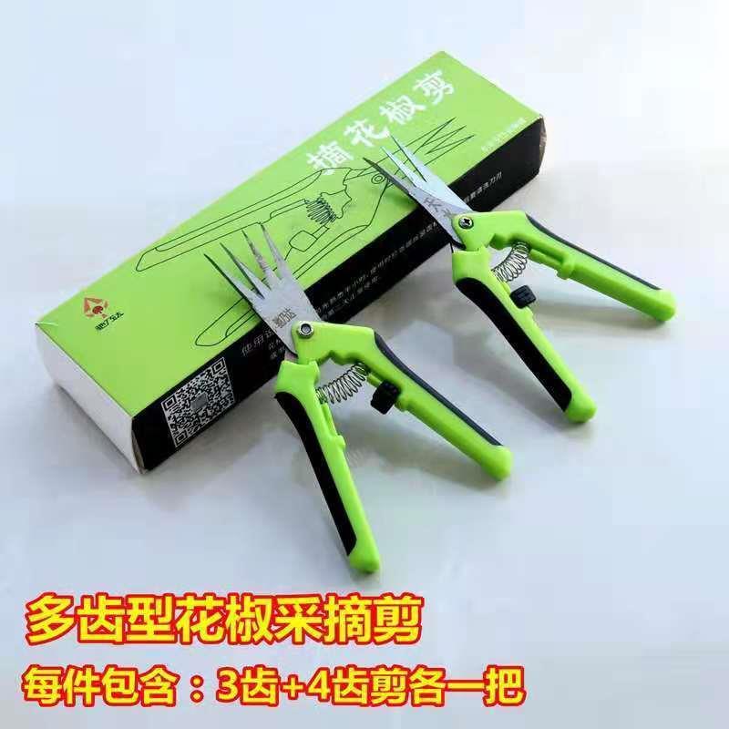 摘器花CLM椒神用工具手套机器剪椒剪刀收专掐花园艺修枝剪子采摘