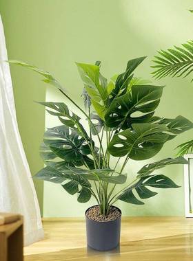 北hx215678欧仿真龟背竹绿盆栽盆家植居室内外装饰人摆造龟背竹仿