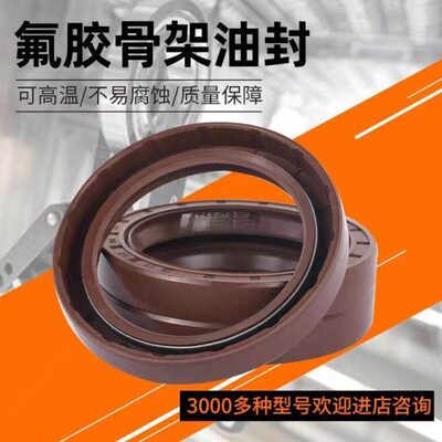 氟胶TC骨架油封110x112x115x118x130x135x140x150x10x12x13x14x15
